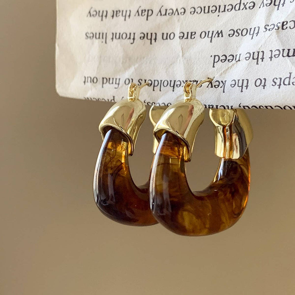 Retro Brown earrings